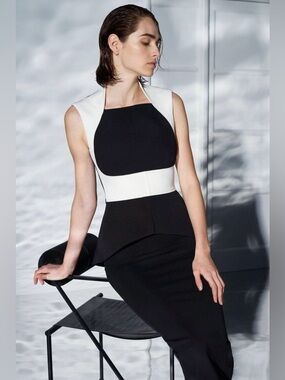 Safiyaa Eralia Monochrome Top NWT